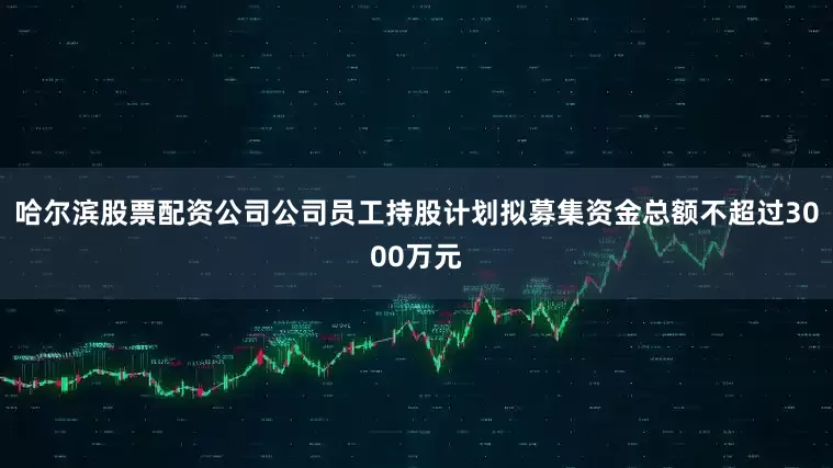 哈尔滨股票配资公司公司员工持股计划拟募集资金总额不超过3000万元