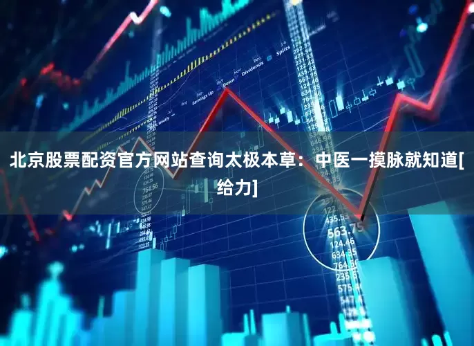 北京股票配资官方网站查询太极本草：中医一摸脉就知道[给力]