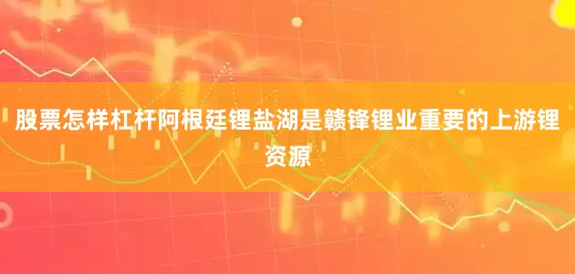 股票怎样杠杆阿根廷锂盐湖是赣锋锂业重要的上游锂资源